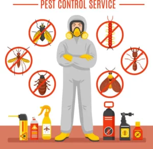 Year Round Home Protection Pest Control Plans